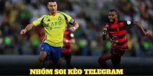 Nhóm soi kèo Telegram