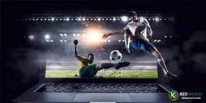 Tìm hiểu kèo đặt cược live trực tiếp